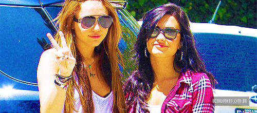 novatagdemilovatobrasil